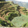 Philippinen (2007)