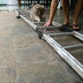 Verhaltenstraining mit hyperaktivem Hund