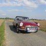 Cabrio im Feld