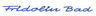 Logo der Firma Fridolinbad Physiotherapie - Pr&auml;vention - Therapie - Training