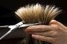 Weiteres Logo der Firma JP Hair Company