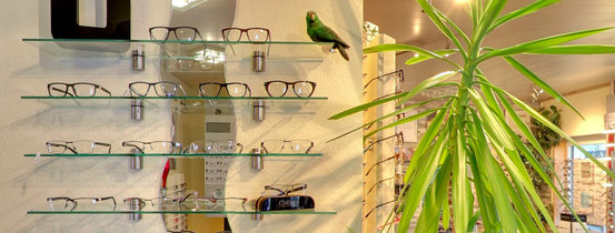 Optik Individuell Abbildung Nr. 4