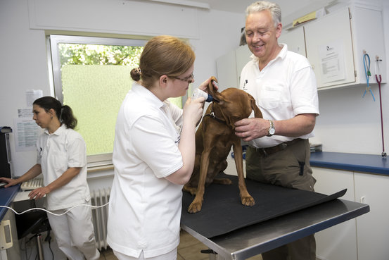 Kleintierbehandlungsraum