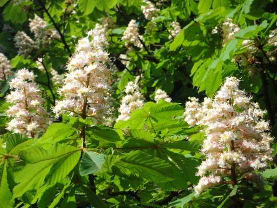 Familienaufstellung Paartherapie Muenchen