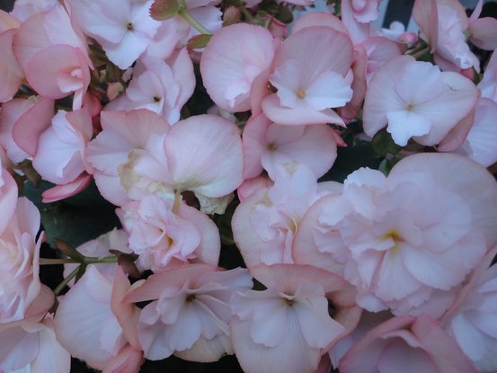 Familienaufstellung Paartherapie Muenchen