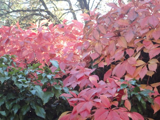 Familienaufstellung Paartherapie Muenchen