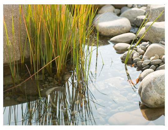 teich3.jpg