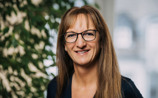 Alfredo Dumitrescu Abbildung Nr. 14