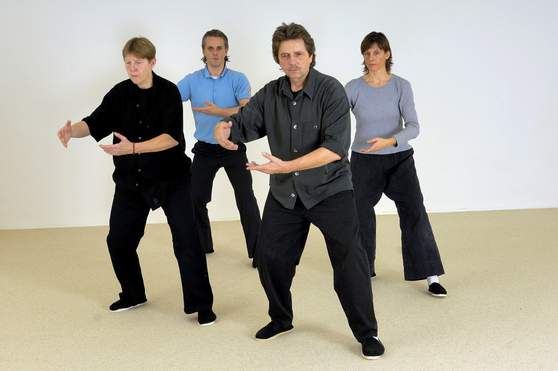 Tai Chi Tiger fassen