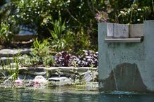 Kolhöfer Garten und Landschaftsbau GmbH & Co. KG Vorschau