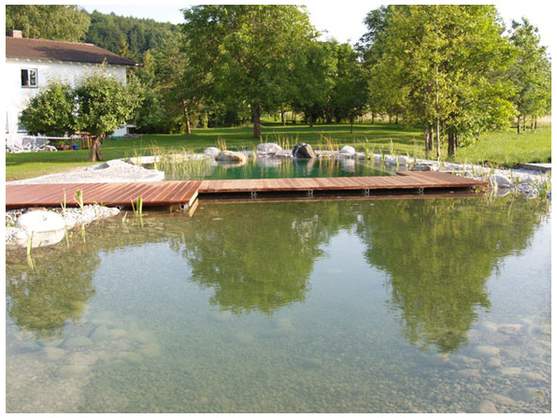 teich2