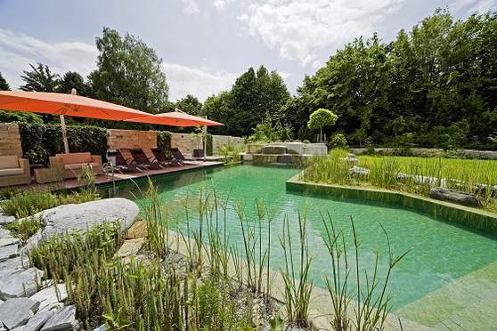 teichmeister0709w1g9710