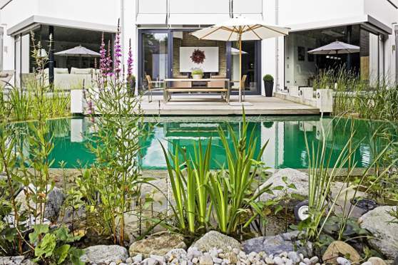 teichmeister0709w1g9984