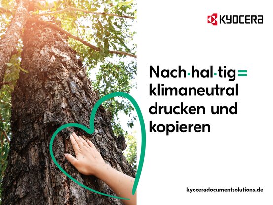 Baer Elektronik GmbH Abbildung Nr. 3