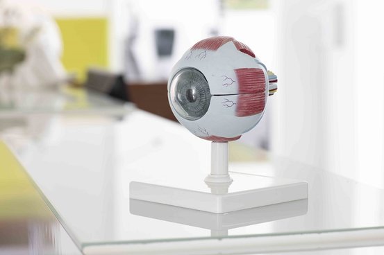 Dr. Eckert, Dr. David Abbildung Nr. 8