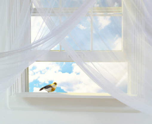 istock-000006083061xsmall.jpg
