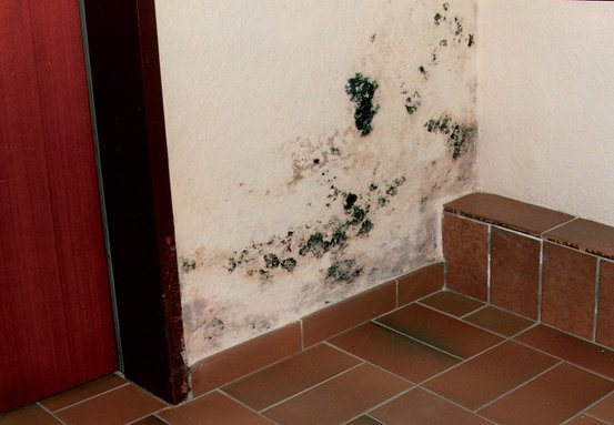 Getifix Olaf Händeler Abdichtungstechnik + Schimmelsanierung Abbildung Nr. 12