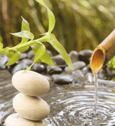 TCM- und Massagepraxis Abbildung Nr. 11