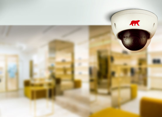 Video-Alarm-Systeme