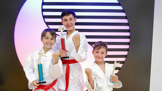 Methode Taekwondo Kampfkunstschulen Abbildung Nr. 1