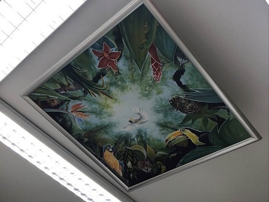 Dr. med. dent. Karina Schultz Abbildung Nr. 4