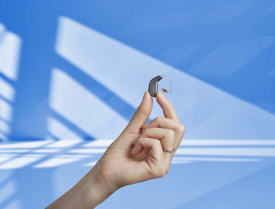 Zumfeld Sehen und Hören Abbildung Nr. 1