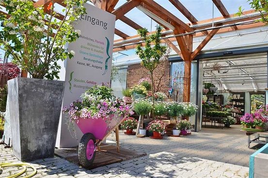 Die Manufaktur für Grünes Stefan Dorn Abbildung Nr. 5