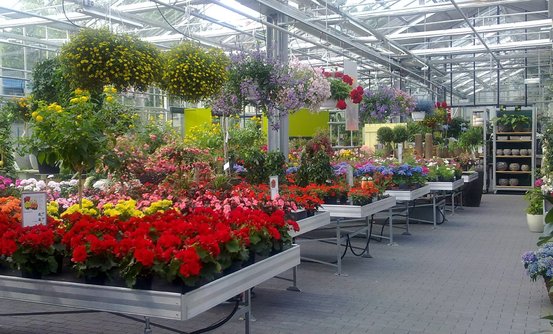 Gärtnereien Koch & Christmann - Grabpflege, Blumen + Gartengestaltung Abbildung Nr. 4