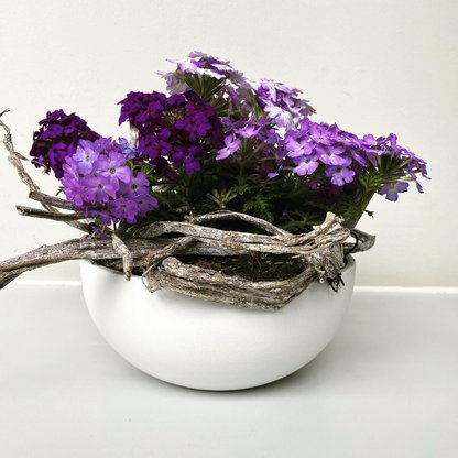 Gärtnereien Koch & Christmann - Grabpflege, Blumen + Gartengestaltung Abbildung Nr. 9