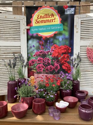 Blumen Kraft Abbildung Nr. 2