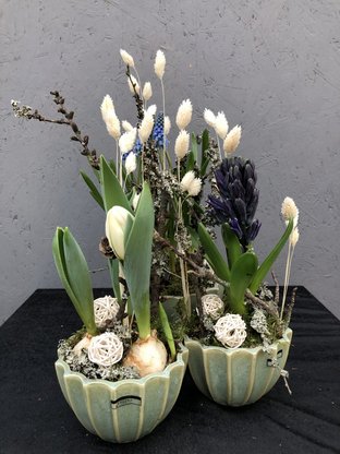 Blumen Kraft Abbildung Nr. 3