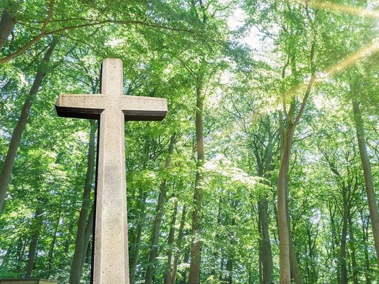 Bestattungshaus Thorsten Weisenstein Abbildung Nr. 1