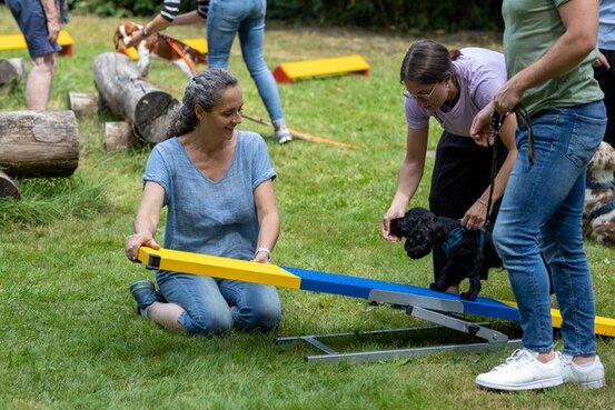SIRIUS® Hundeschule München Abbildung Nr. 11