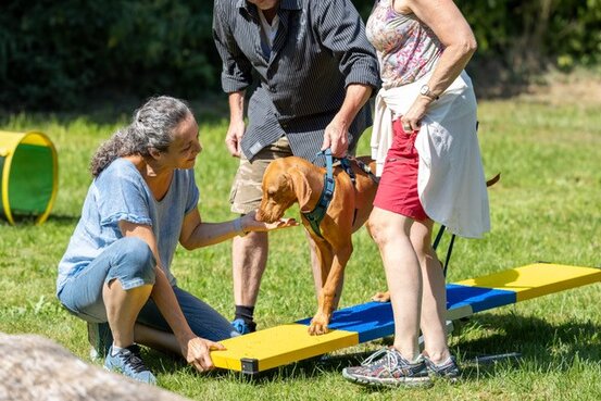 SIRIUS® Hundeschule München Abbildung Nr. 9