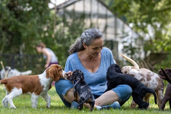 SIRIUS® Hundeschule München Abbildung Nr. 1