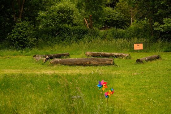 SIRIUS® Behavior Vets Zentrum für Tiermedizinische Verhaltenstherapie Abbildung Nr. 7