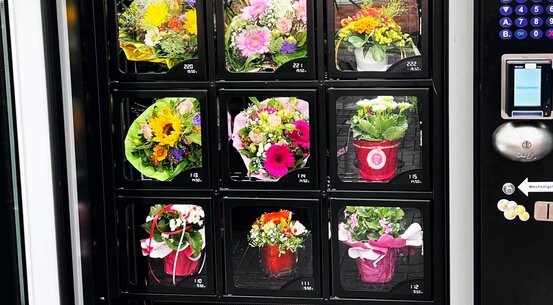 Blumenberg - Floristik - Gärten - Landschaften Abbildung Nr. 5