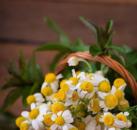 Blumenberg - Floristik - Gärten - Landschaften Abbildung Nr. 3