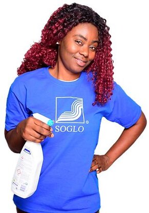 Soglo Gebäudereinigung Abbildung Nr. 2