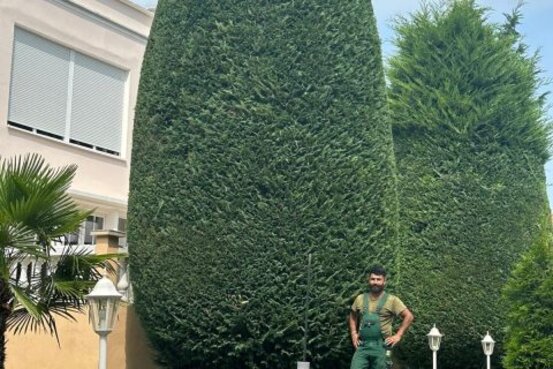 Royal Garden Abbildung Nr. 7