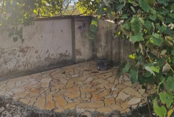 Royal Garden Abbildung Nr. 5