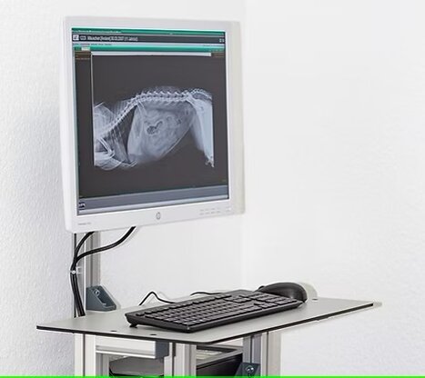 Tiermedizinzentrum am Zauberberg, Dr.med.vet Katja Feuerbacher Abbildung Nr. 9