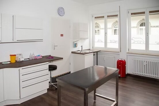 Tiermedizinzentrum am Zauberberg, Dr.med.vet Katja Feuerbacher Abbildung Nr. 8