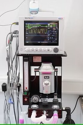 Tiermedizinzentrum am Zauberberg, Dr.med.vet Katja Feuerbacher Abbildung Nr. 7