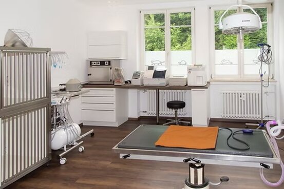 Tiermedizinzentrum am Zauberberg, Dr.med.vet Katja Feuerbacher Abbildung Nr. 4