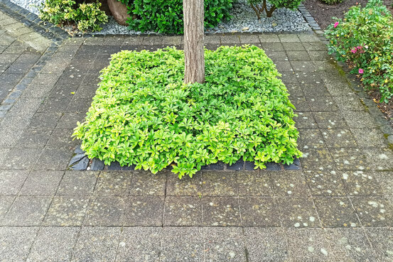 Steinfresh® Stroschein Abbildung Nr. 5