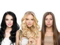 Haarhaus Wambach Vorschau