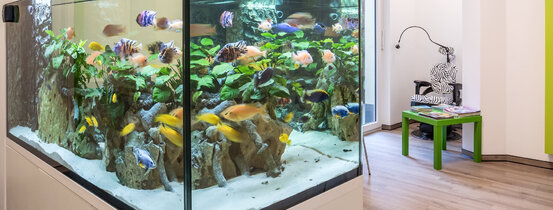 KFO Dr. Martina Rasche Abbildung Nr. 9