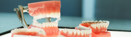 Kieferorthopädie Dr. Ines Graf Abbildung Nr. 13