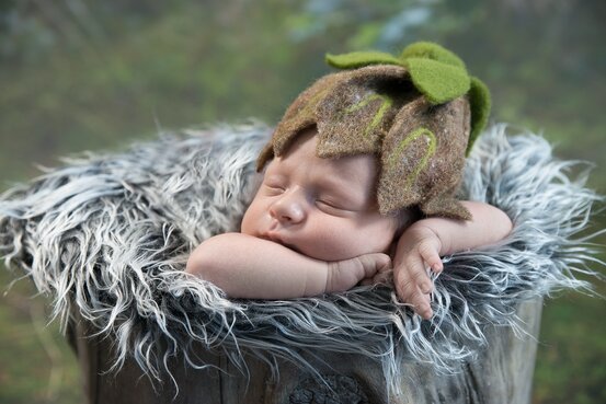 Fotowünsche Abbildung Nr. 8